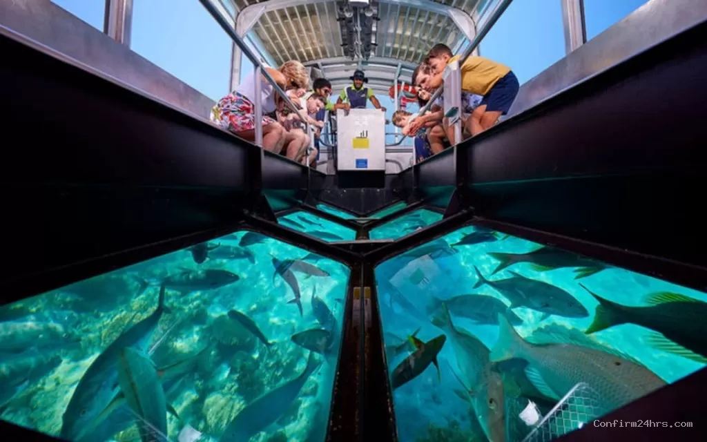 Glass Bottom Boat Ride in Andaman – Explore the Underwater Beauty Without Getting Wet